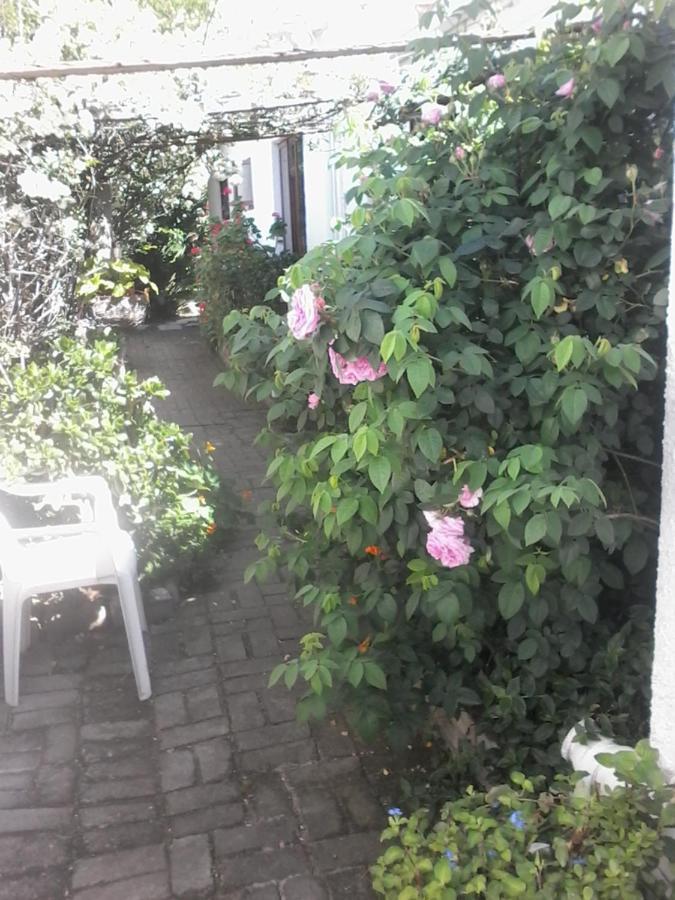 Self Catering Unit 6, Sandbaai Hermanus Εξωτερικό φωτογραφία