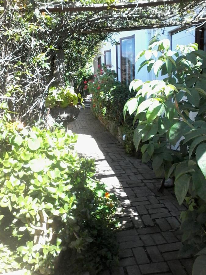 Self Catering Unit 6, Sandbaai Hermanus Εξωτερικό φωτογραφία