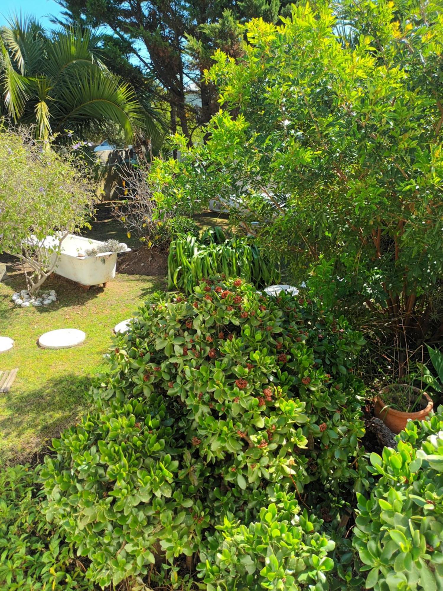 Self Catering Unit 6, Sandbaai Hermanus Δωμάτιο φωτογραφία